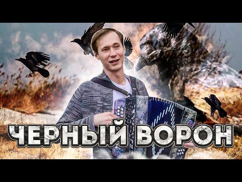 Видео: Ворон под гармонь. Черный ворон. "Знаю ворон твой обычай". Russian Folk Music&