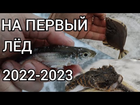 Видео: НА ПЕРВЫЙ ЛЁД 2022-2023 о.малое БУССЕ (ВЫСЕЛКОВОЕ) Рыбалка на САХАЛИНЕ!!!