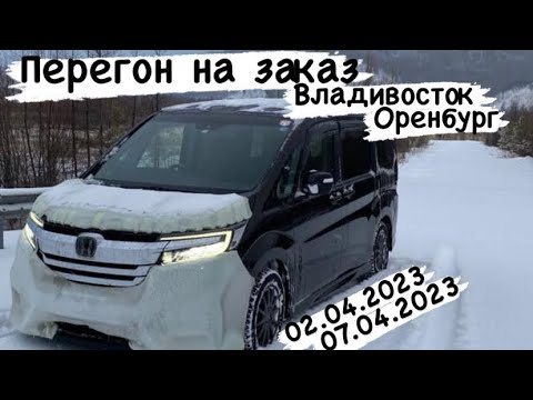 Видео: Перегон из Владивостока в Оренбург на заказ Honda Stepwgh Spada 02.04.2023-07.04.2023