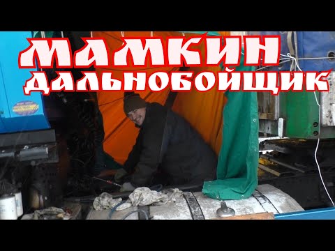 Видео: Рено Рено идет по плану