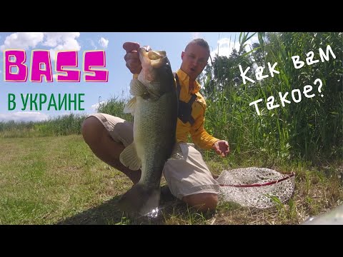 Видео: Вот это рыбалка! Bass fishing в Киеве! Как и на что клюют крупные бассы. Ловля басса в Украине.