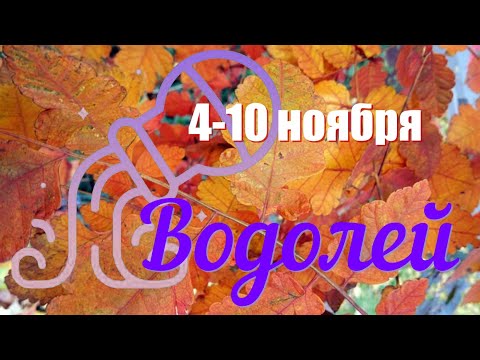 Видео: ВОДОЛЕЙ ♒️ Неделя с 4 по10 ноября 2024 года.