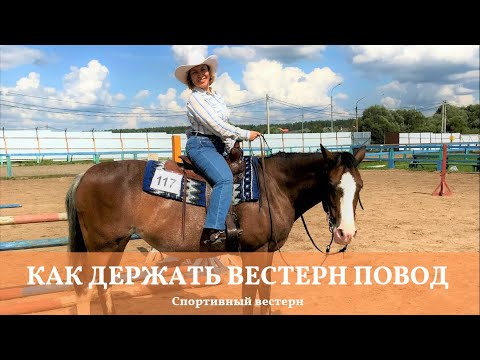 Видео: Спортивный вестерн. Вестерн повод. Как правильно его держать и управлять им лошадью.