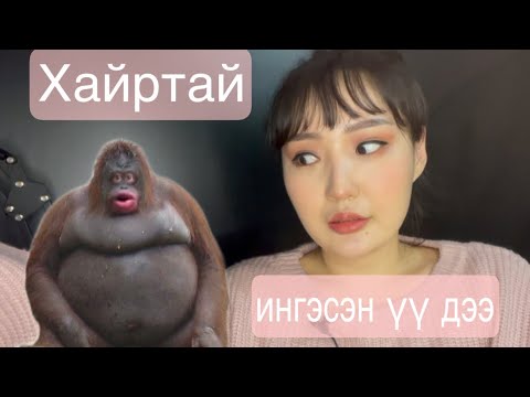 Видео: "Амьтдыг хүүхэд шигээ хайрлана" ингэсэн үү дээ