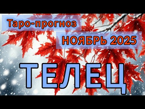 Видео: ТЕЛЕЦ ♉️ ТАРО-ПРОГНОЗ НА НОЯБРЬ 2025