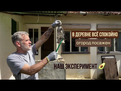 Видео: Жизнь в сербском селе #жизньзаграницей #переездвсербию #покупканедвижимости #сербия