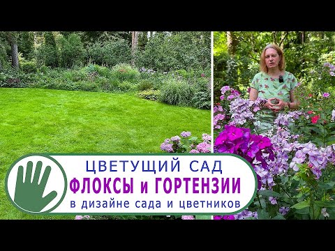 Видео: Видео журнал "СОФ №127" Цветущий сад. ФЛОКСЫ и ГОРТЕНЗИИ в дизайне сада и цветников.