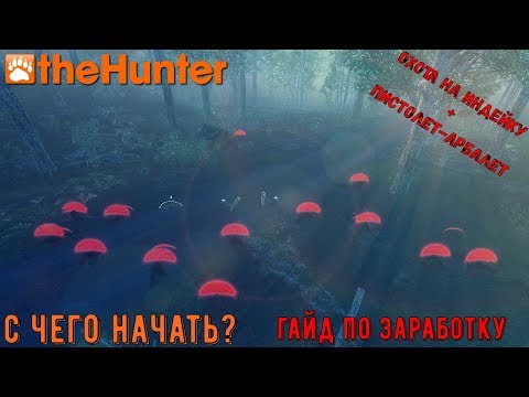 Видео: ♢ theHunter Classic ♢ как заработать ♢ гайд по заработку игровой валюты ♢
