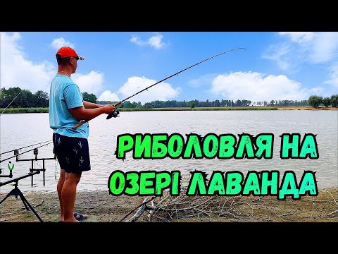 Видео: РИБОЛОВЛЯ НА ГАРНІЙ ВОДОЙМІ / ПОЛЮВАННЯ ЗА КОРОПОМ / РИБОЛОВЛЯ В ПОГАНУ ПОГОДУ