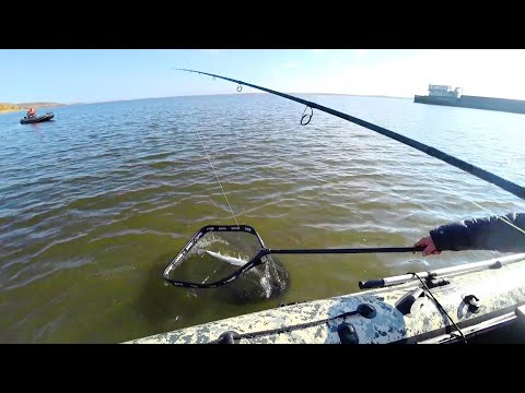 Видео: С ВОВАНОМ ВСЕГДА ВЕЗЁТ! РЫБАЛКА НА СУДАКА В РАЗГАРЕ ловля на Дону, джиг спиннинг 