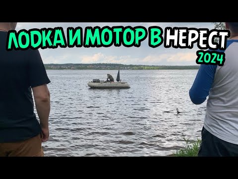 Видео: Можно ли ходить на лодке в нерестовый запрет? 2024 МСК и Область