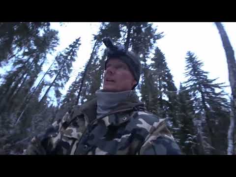 Видео: Проверка дальней избы. Волки рядом. Важное объявление!