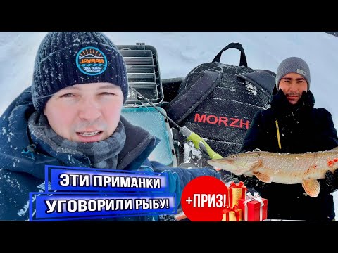 Видео: НЕ ОСТАВЛЯЮТ ШАНСА! САРДЕЛИНЫ И ВИБЫ С ЭХОЛОТОМ. РЫБАЛКА  когда вообще рыба не хочет клевать.