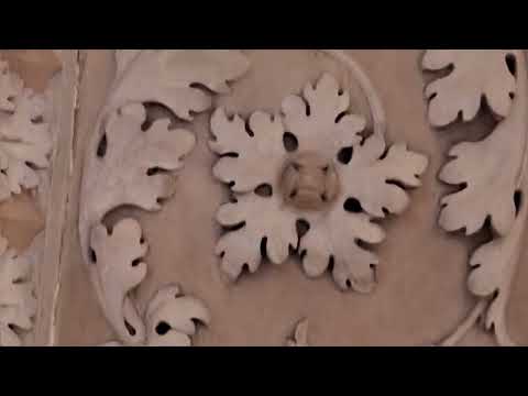 Видео: Массовое Мытьё полов-без комментариев🤣Редчайшее "фото" нашего мальчика Леонардушки ( и где!) Чт3