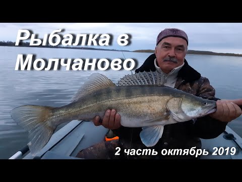 Видео: Рыбалка в Молчаново 2019. Обь, октябрь. 2 часть