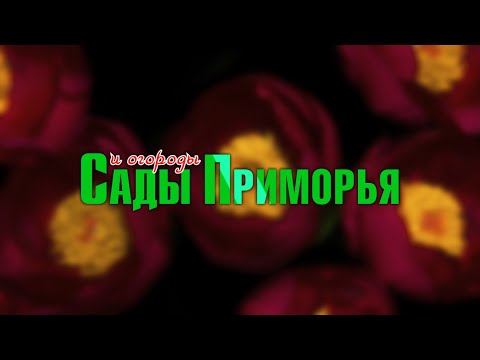 Видео: «Сады и огороды Приморья». АВГУСТ.