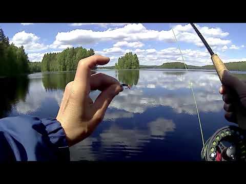 Видео: Карелия. Нахлыст. Несмотря ни на что...