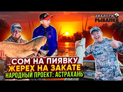 Видео: СОМ на ПИЯВКУ / ЖЕРЕХ на ЗАКАТЕ / Олег Сарана