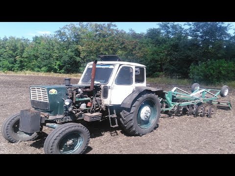 Видео: ЮМЗ-6Т , Дисковка стерни Ячменя перед вспашкой