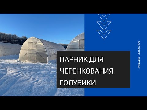 Видео: Подробный обзор парника/теплицы для черенкования голубики