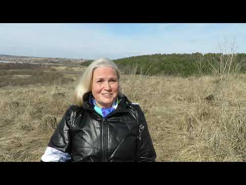 Видео: Законы Вселенной.  Часть 2.