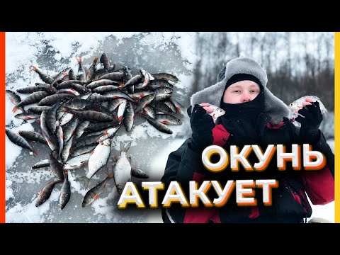 Видео: РЫБАЛКА С ДРУЗЬЯМИ | ОКУНЬ АТАКУЕТ ЗИМОЙ