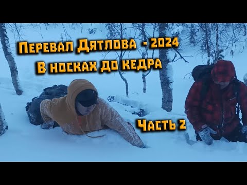 Видео: Перевал Дятлова. Спуск в носках от палатки до кедра. Часть 2. Эксперимент Евдокимова