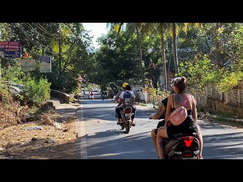 Видео: Вечерний движ на пляже. Огромная папая. Пейзажи гоанских дорог. Авария. Обзор трц Mall De Goa