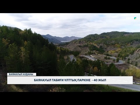 Видео: Баянауыл табиғи ұлттық паркіне - 40 жыл