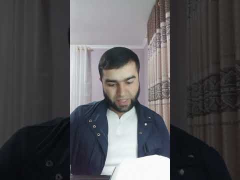 Видео: Бройлер товуклар 41-куни хисобот. канча фойда бн чикдик?#бизнес #жужа #бройлер #фойдали #хисобот