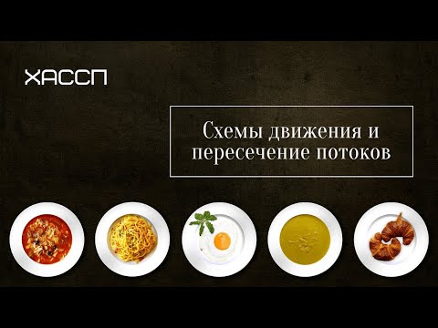 Видео: Схемы движений в ХАССП. Пересечение потоков.