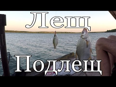 Видео: Рыбалка, ловля леща на на донку. Ставрополье, Новотроицкое водохранилище. Клёв просто супер!!!