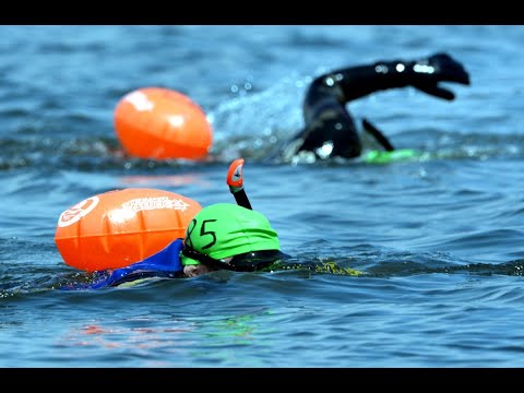 Видео: Марафонский заплыв "Амурский залив - 2019"