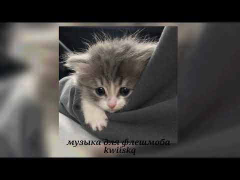 Видео: музыка для флешмоба ||песни из тик тока 2025||🩶