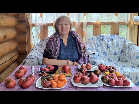 Видео: ДЕГУСТАЦИЯ ТОМАТОВ!