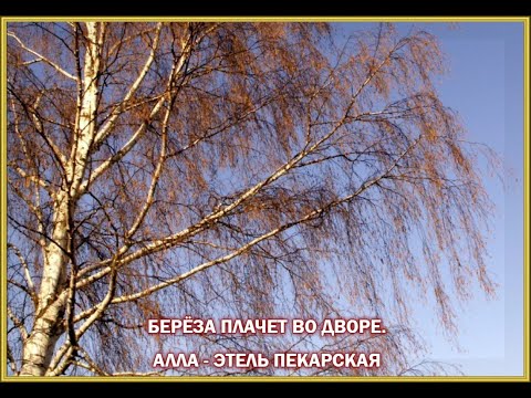 Видео: БЕРЁЗА ПЛАЧЕТ ВО ДВОРЕ. АЛЛА - ЭТЕЛЬ ПЕКАРСКАЯ