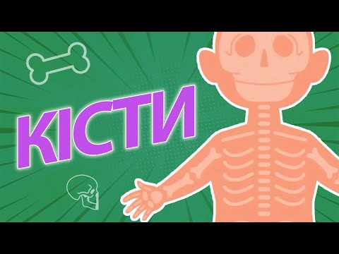 Видео: НАВІЩО НАМ КІСТКИ? | Po co nam kości?