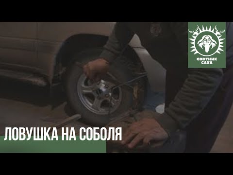 Видео: Ловушка на соболя. Изготовление пружины.