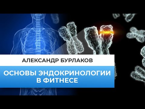 Видео: Основы эндокринологии.