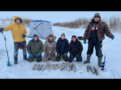 Видео: #рыбалка #fishing #торгай #щуканажерлицы #troutfishing #carpfishing #футбол