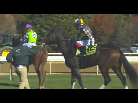 Видео: R5 КИНЕЛАНД США