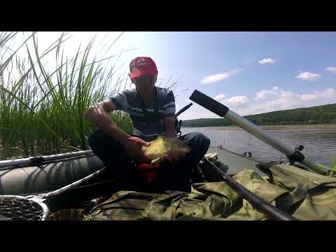 Видео: КАРАИДЕЛЬ/Монстры на мелководье