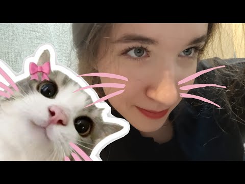 Видео: асмр пассивно-агрессивно выбираю тебе перерождение // asmr role play 