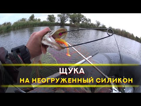 Видео: Щука дуреет от этого силикона!!! Осенний жор щуки на неогруженный силикон 2021. Щука на спиннинг