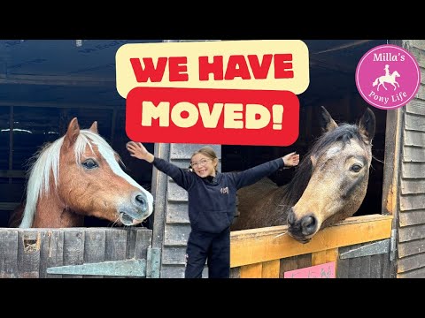 Видео: МЫ ПЕРЕМЕЩЕНЫ НА МНОГО ТЕРРИТОРИЙ!