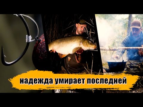 Видео: Карпфишинг Закрытие Сезона  с счастливым концом [+Розыгрыш]