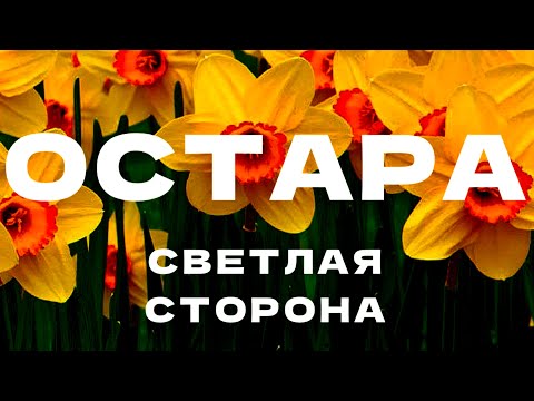 Видео: Остара. Светлая сторона. Праздники Колеса Года