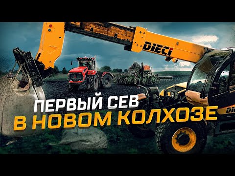 Видео: Купили Колхоз и СЕЕМ озимый рапс! Рассуждения о работниках АПК. 