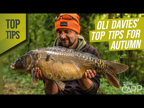 Видео: Встречайте осень как Оли Дэвис | Лучшие советы