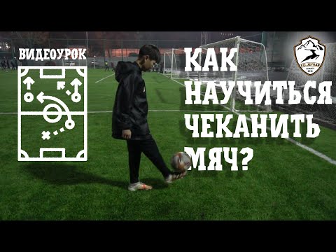 Видео: Видеоурок | Как научиться чеканить мяч? | Зоовет